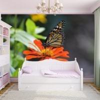 красивые бабочки в интерьере прихожей картинка