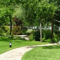 шикарный ландшафтный дизайн сада в английском стиле с цветами картинка