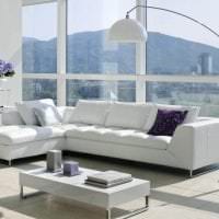 белый диван в дизайне квартиры картинка