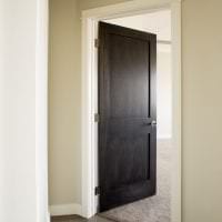 темные двери в дизайне квартиры из сосны картинка