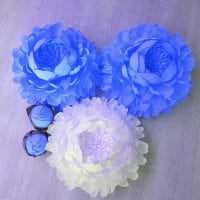 синие бумажные цветы в дизайне праздничного зала картинка