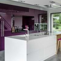 современный декор кухни в фиолетовом оттенке фото