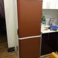 идея яркого украшения холодильника на кухне фото