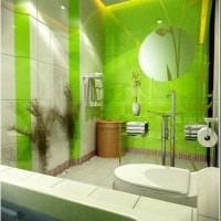 вариант использования зеленого цвета в красивом дизайне квартиры картинка