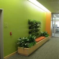 пример применения зеленого цвета в красивом дизайне комнаты картинка