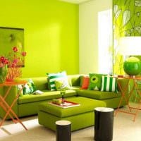 идея применения зеленого цвета в необычном интерьере квартиры фото