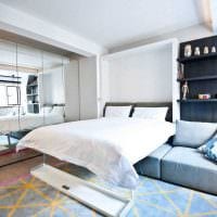 идея необычного дизайна спальни гостиной 20 кв.м. фото