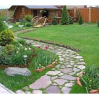 пример применения ярких садовых дорожек в дизайне двора фото