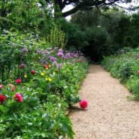 идея использования красивых садовых дорожек в дизайне двора картинка