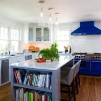 дизайн кухни с окном и синим гарнитуром