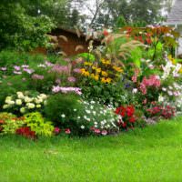 Садовая клумба с многолетними растениями