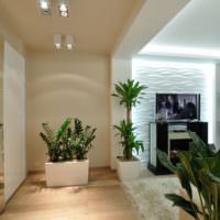 Живые растения в дизайне однокомнатной квартиры