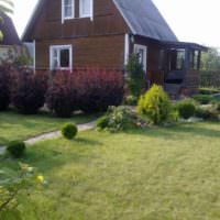 Зеленая лужайка перед дачным домиком
