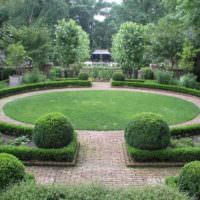 Стриженные кустарники в дизайне европейского сада