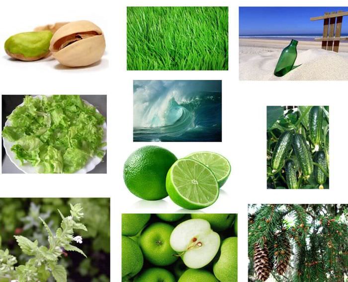 Примеры различных оттенков зеленого цвета