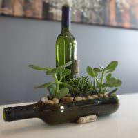 Горшок для комнатных растений из стеклянной бутылки