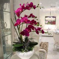 Искусственная орхидея в белой вазе