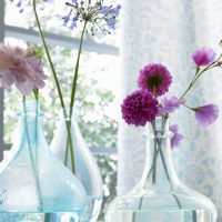 Стеклянные вазы в форме бутылей