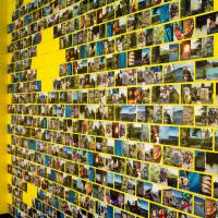 Желтая стена с цветными фотографиями