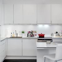 Кухня в стиле минимализма с белой мебелью