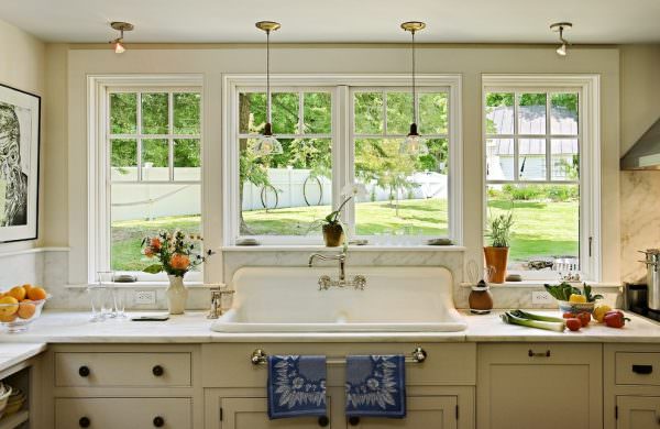 Выбирать светолюбивые растения лучше на кухню с большими окнами